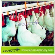 Leon brand drinking cup for poultry farm